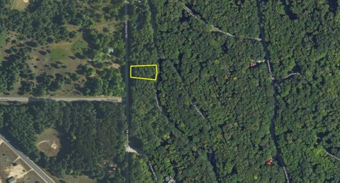 Lot 38 Courchevel Lane Custer Township MI 49615