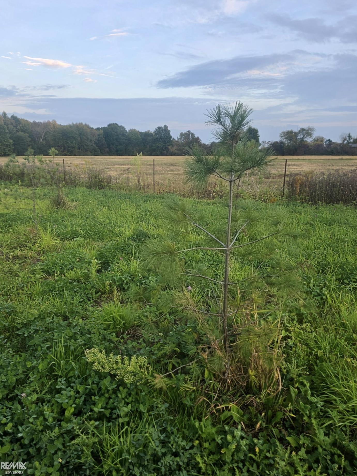 1142 Wales Center Road