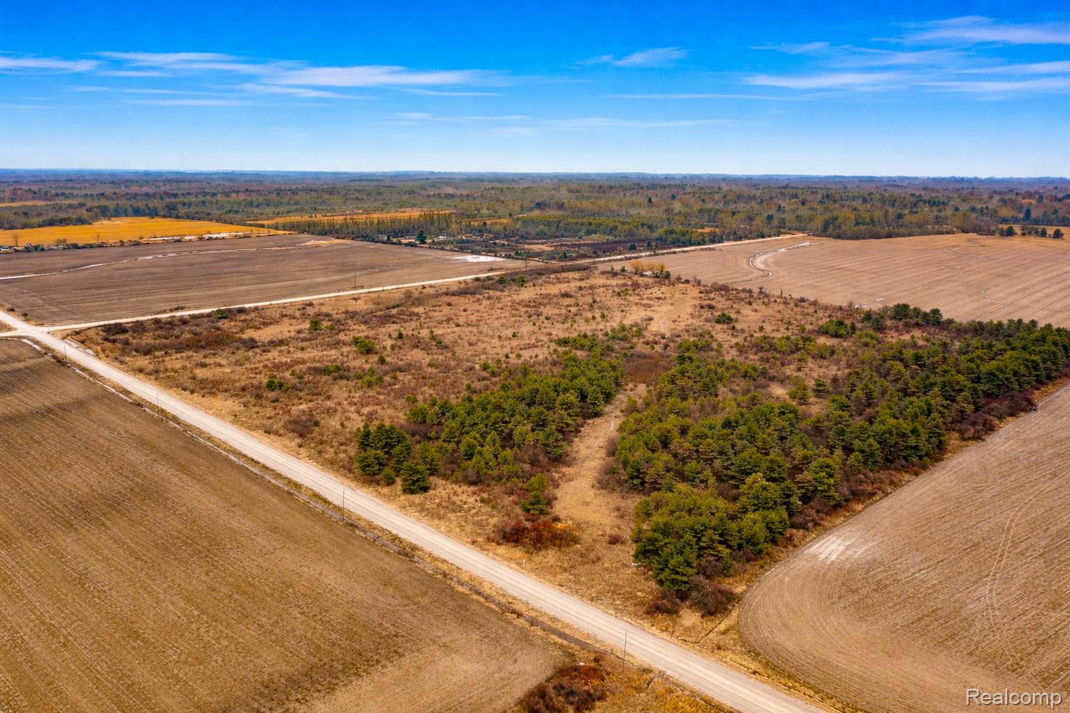 Vacant Land Custer Road