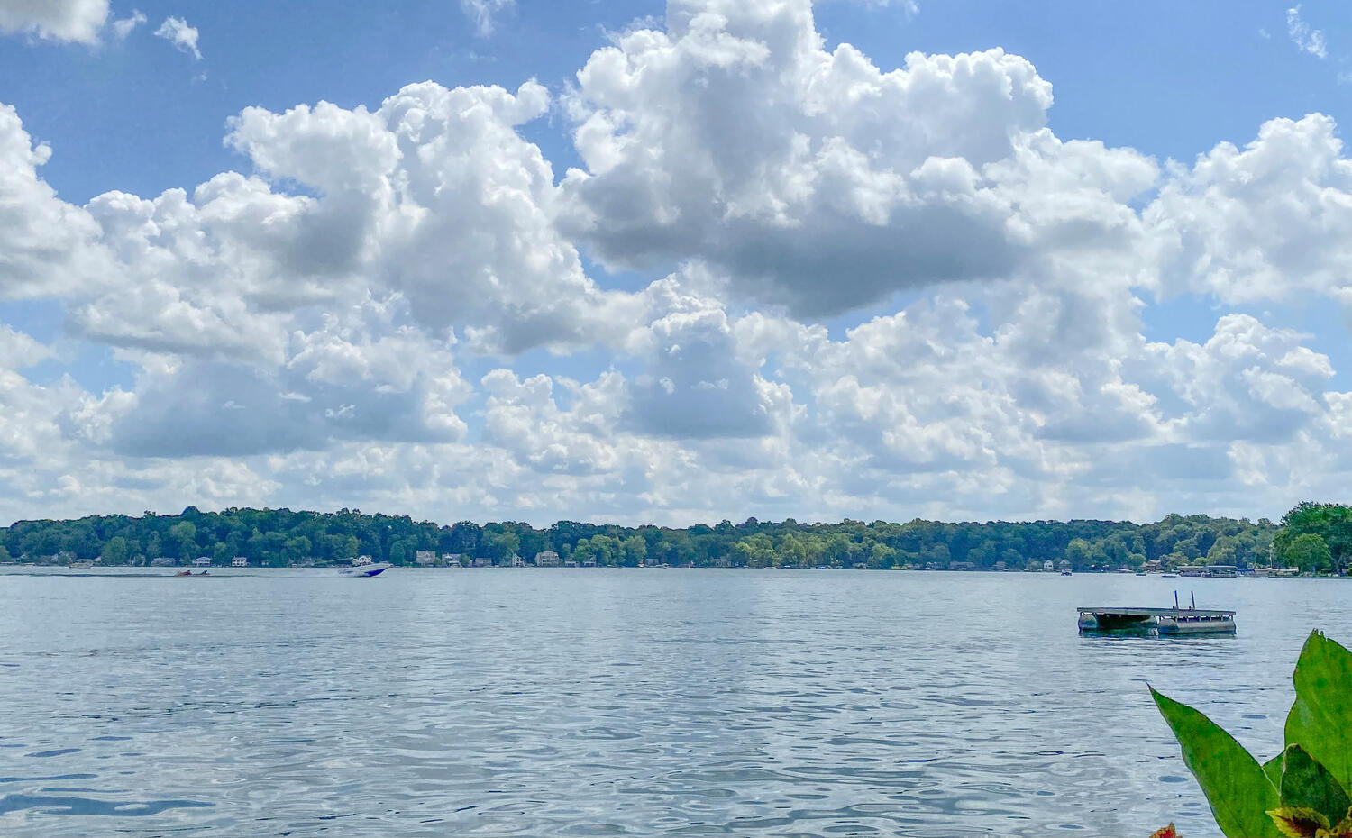 63299 Storeyhill Street