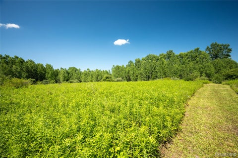Photo for 00 Hagerman Road