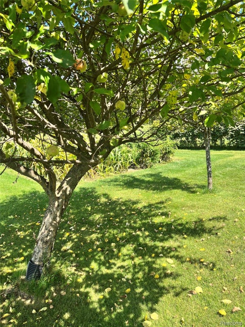Tiny photo for 11771 Lehring Road, Burns Township, MI 48418 (MLS # 20261069393)