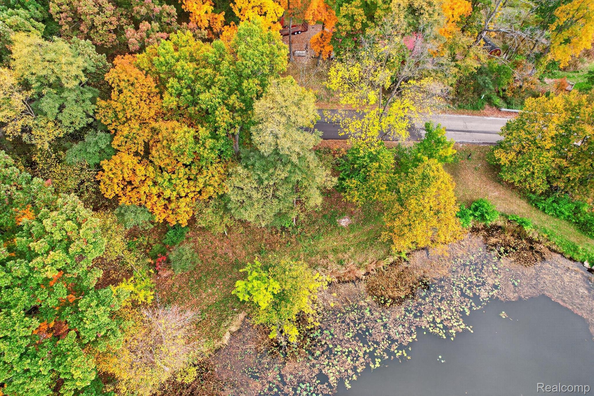 11005 Patch Road