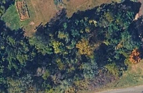 4468 Quick Rd. Road Holly Township MI 48442