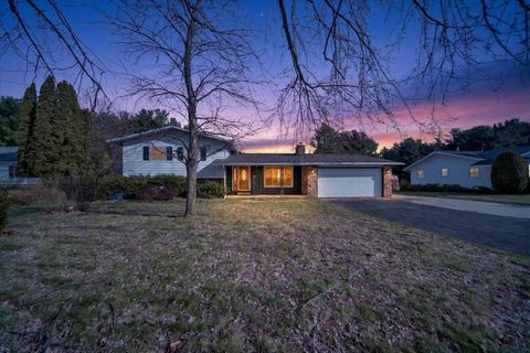 4546 E Berry Road Henrietta Township MI 49272