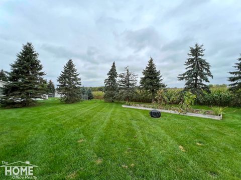 Tiny photo for 620 Elizabeth Drive, Caledonia Charter Township, MI 48867 (MLS # 5050196382)