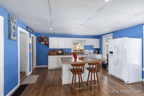 A home in IoniaTownship_Ionia