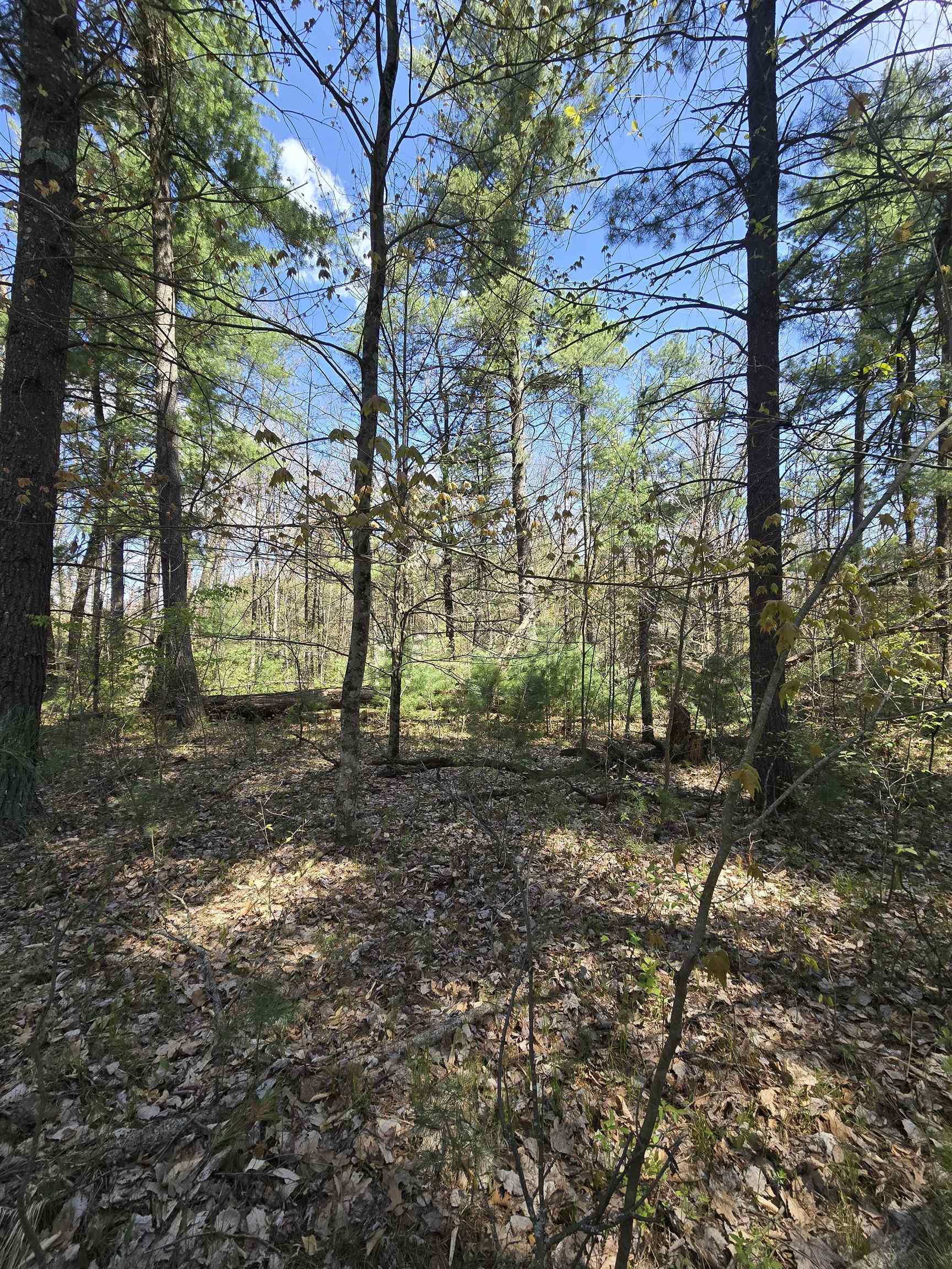 TBD S Locust Avenue