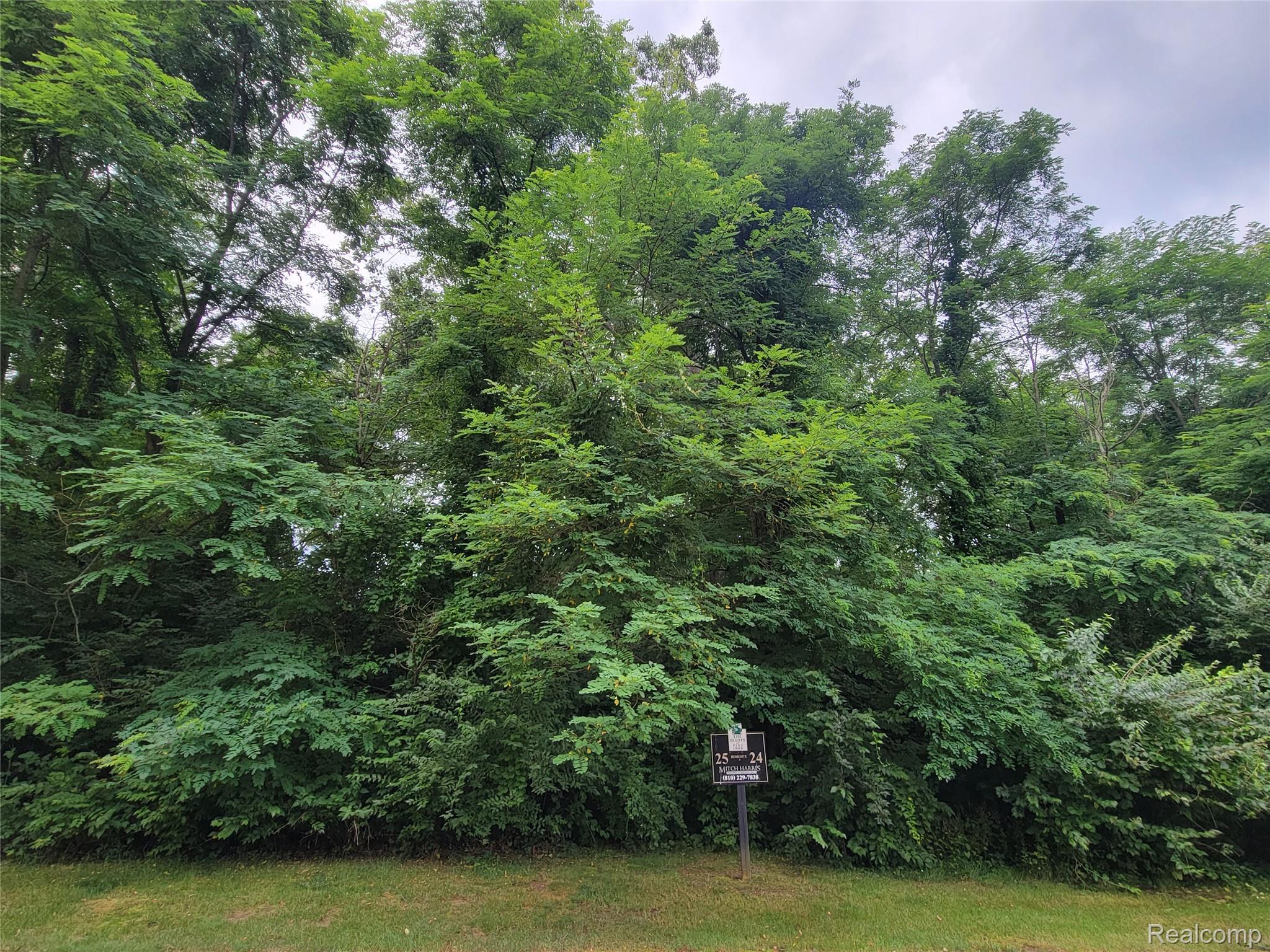 Lot 25 - Rexford Court