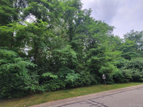 Lot 25 - Rexford Court Hamburg Township MI 48116