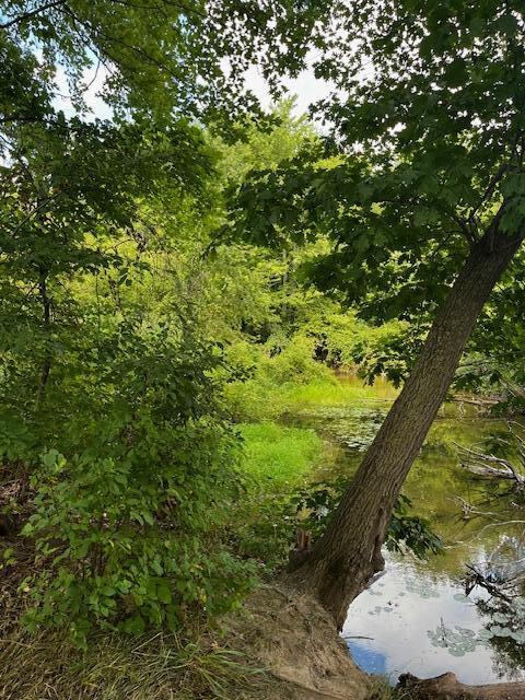 12808 Lincoln Lake Avenue NE