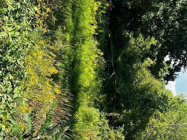 12808 Lincoln Lake Avenue NE