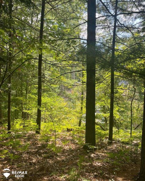 0 Eagle Nest Lane Moffatt Township MI 48610
