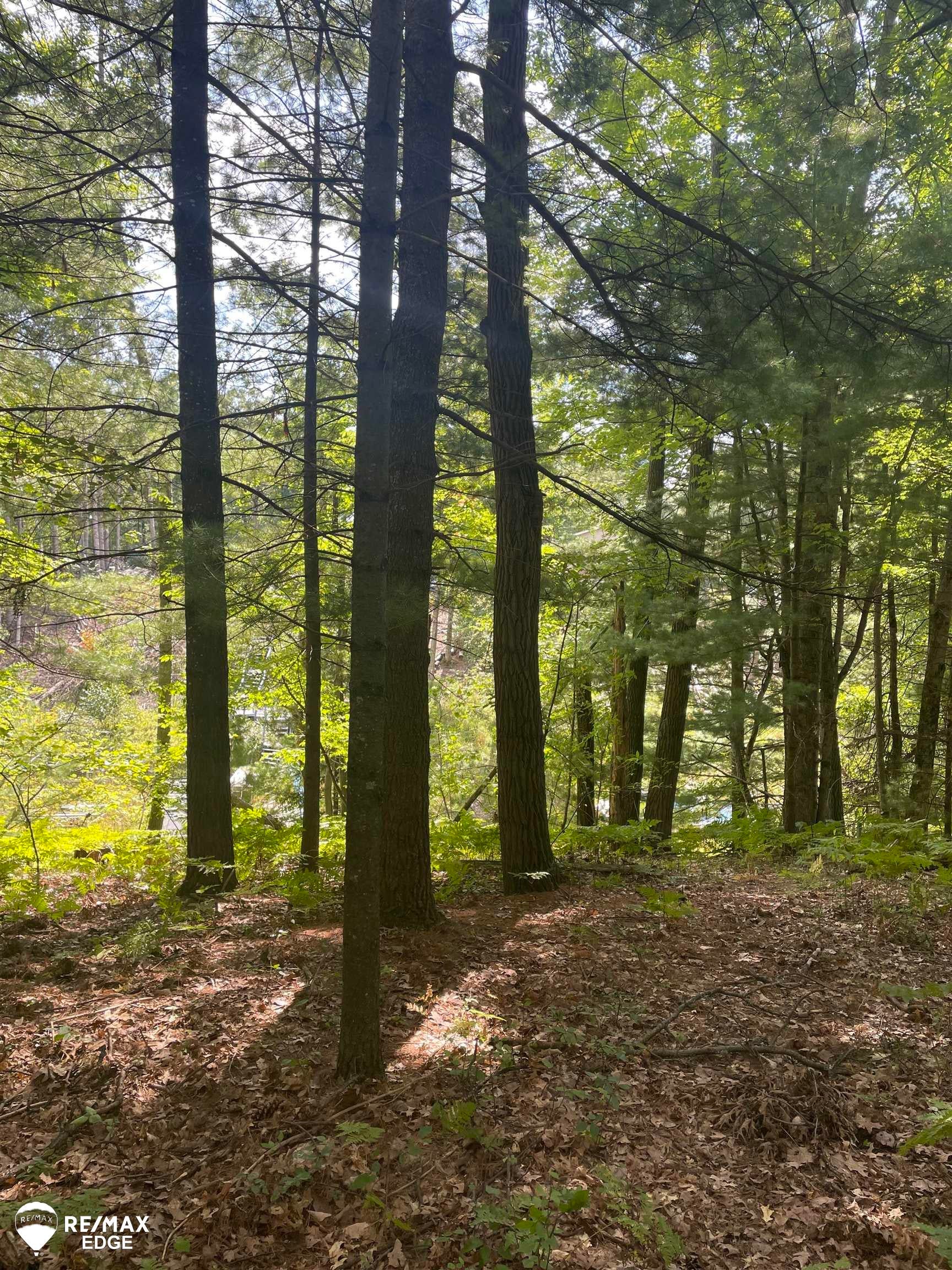0 Eagle Nest Lane