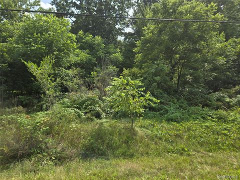 V/L Field Road Vienna Charter Township MI 48420