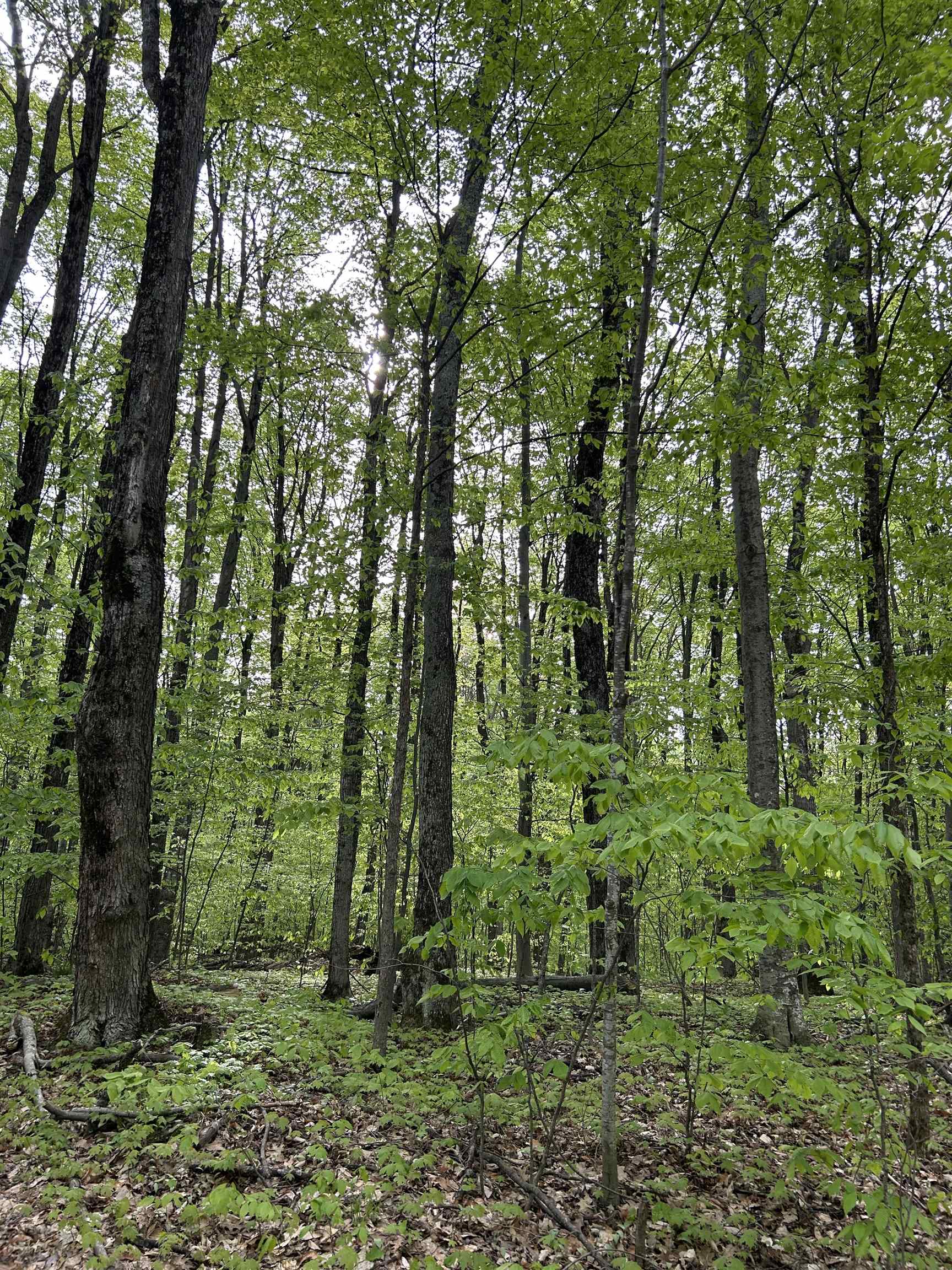 Lot 276 Valleywood Drive
