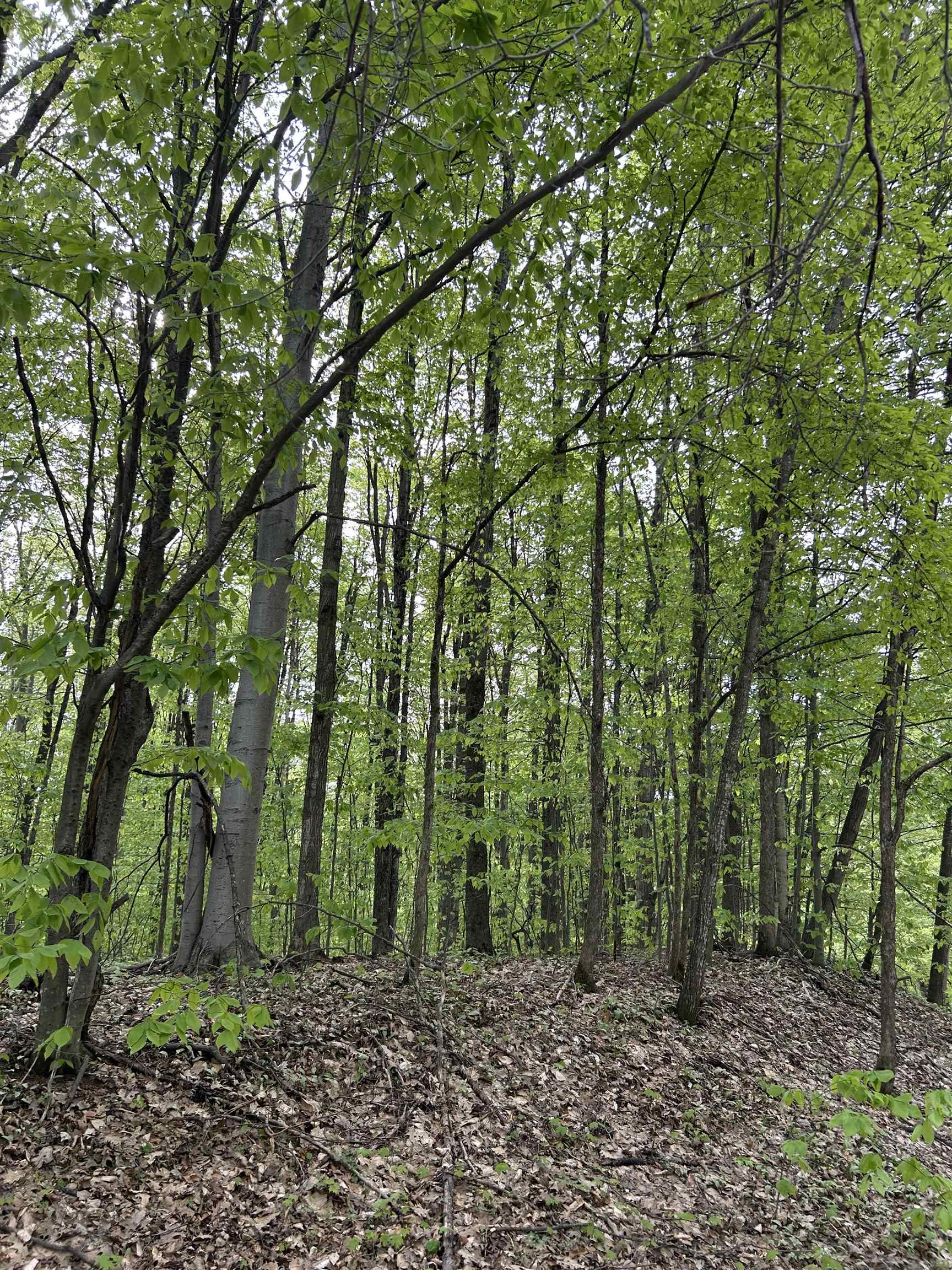 Lot 276 Valleywood Drive