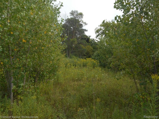 2448 CLAYWARD DR, BURTON, MI 48509 - Image 8fbb5cd1233706b68cb3c9d89cf5c970/1495822982