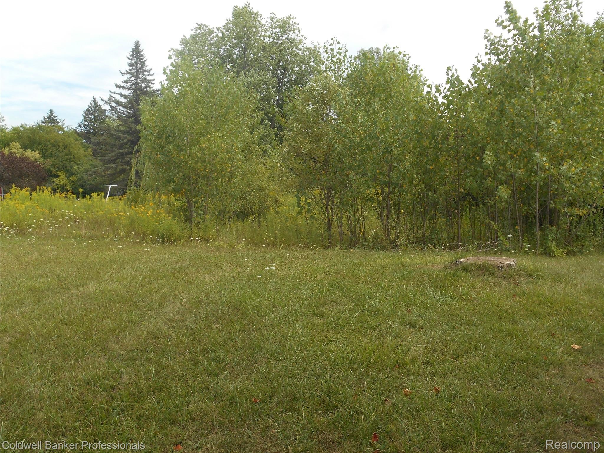 2448 CLAYWARD Drive