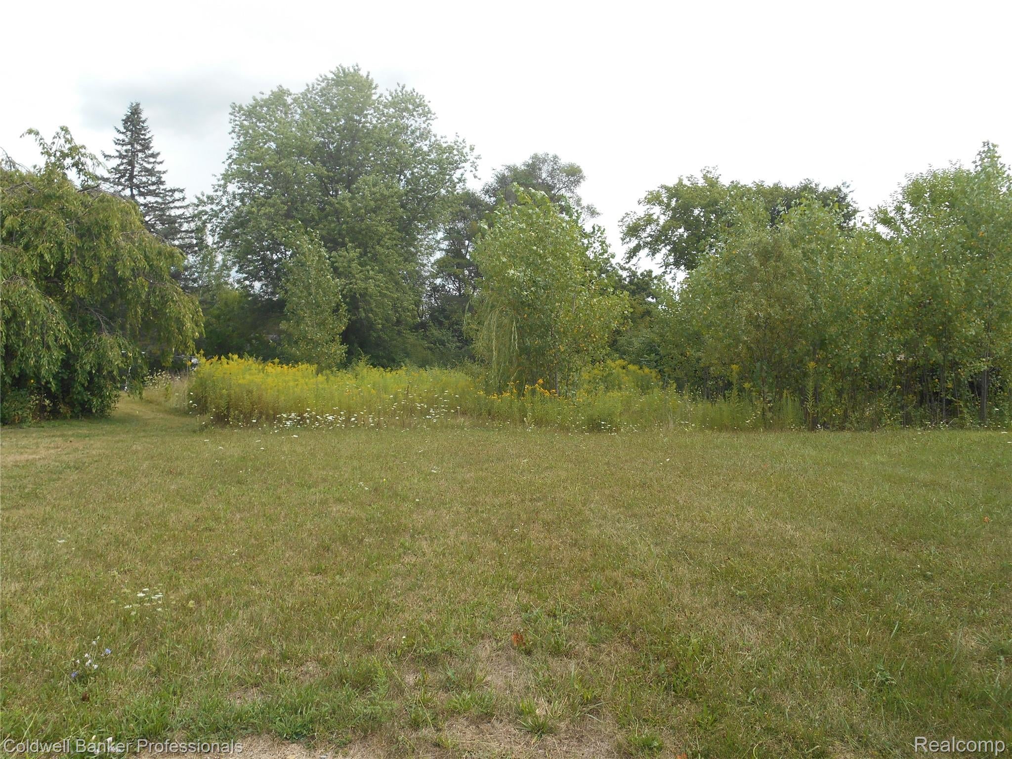 2448 CLAYWARD Drive