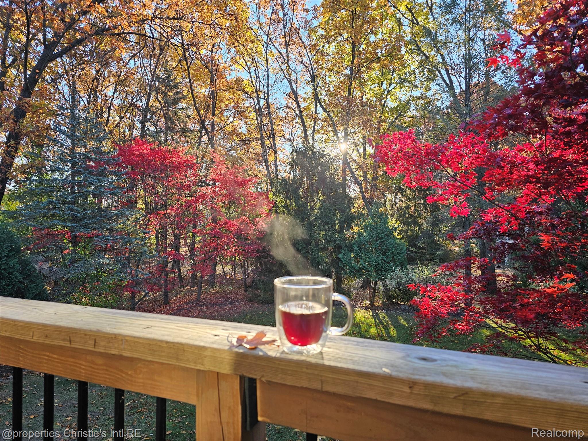 1168 Eagle Nest Drive