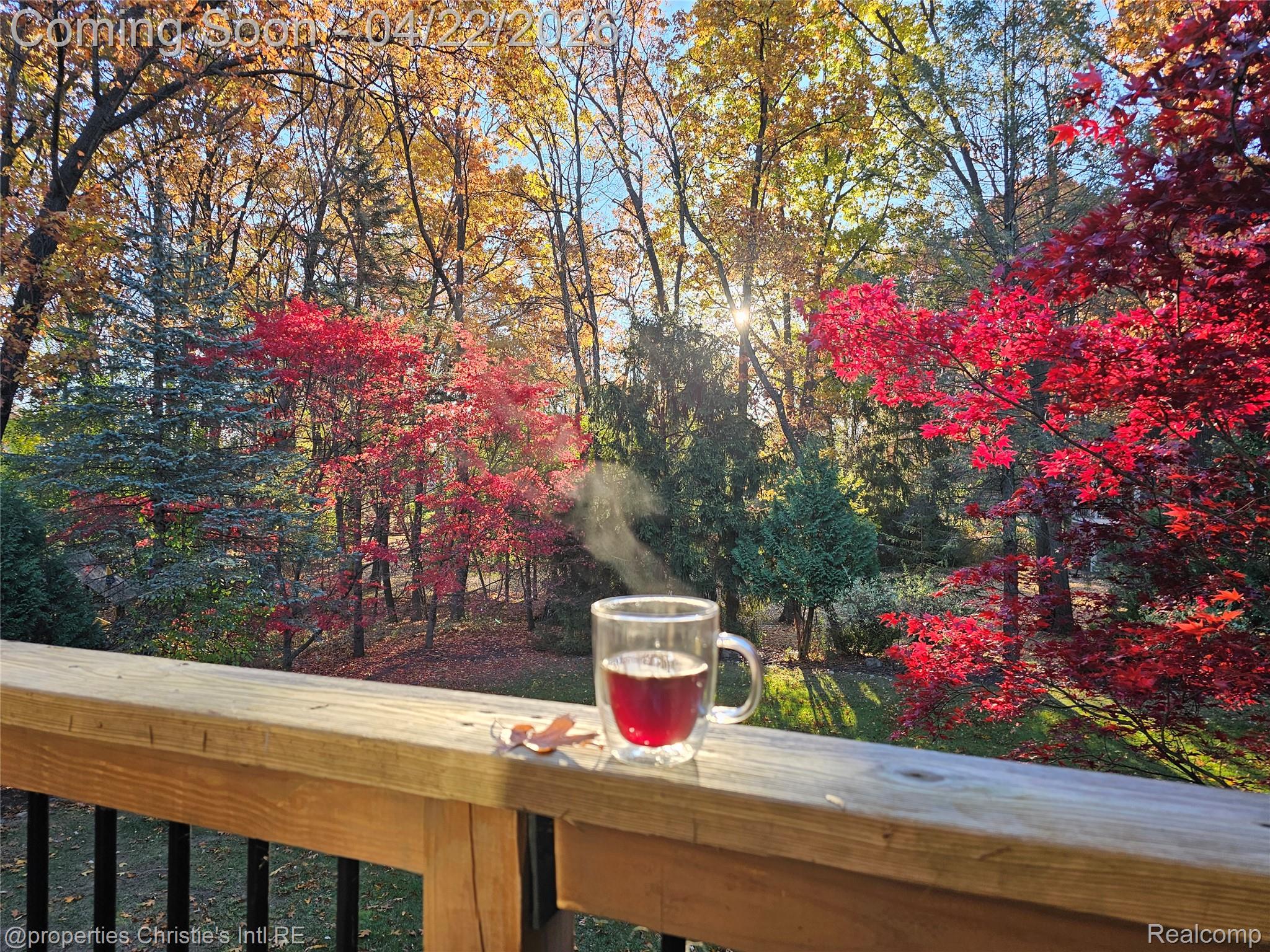 1168 Eagle Nest Drive