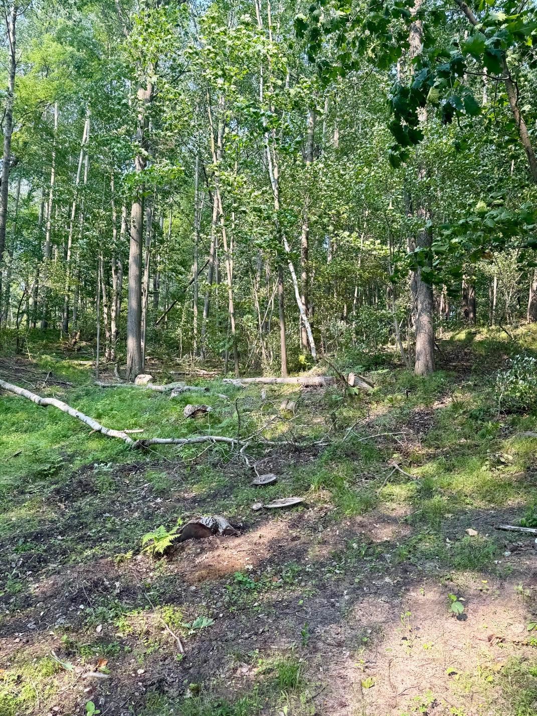 tbd River Road