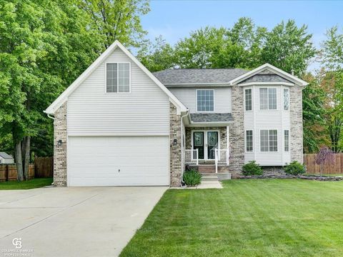 3185 Fanone Drive Port Huron Charter Township MI 48060