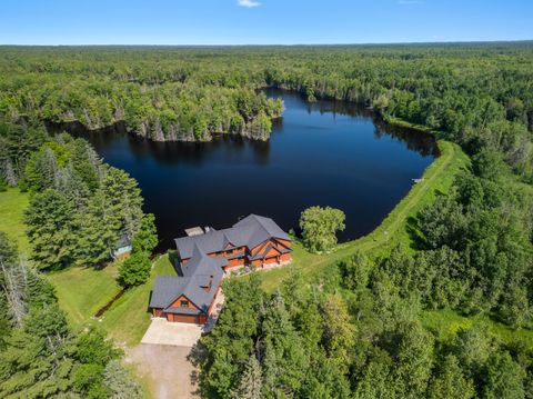 1072 W M80 Chippewa Township MI 49783