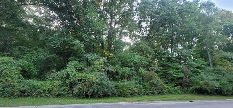 0 Hickory Rim Drive Groveland Township MI 48462