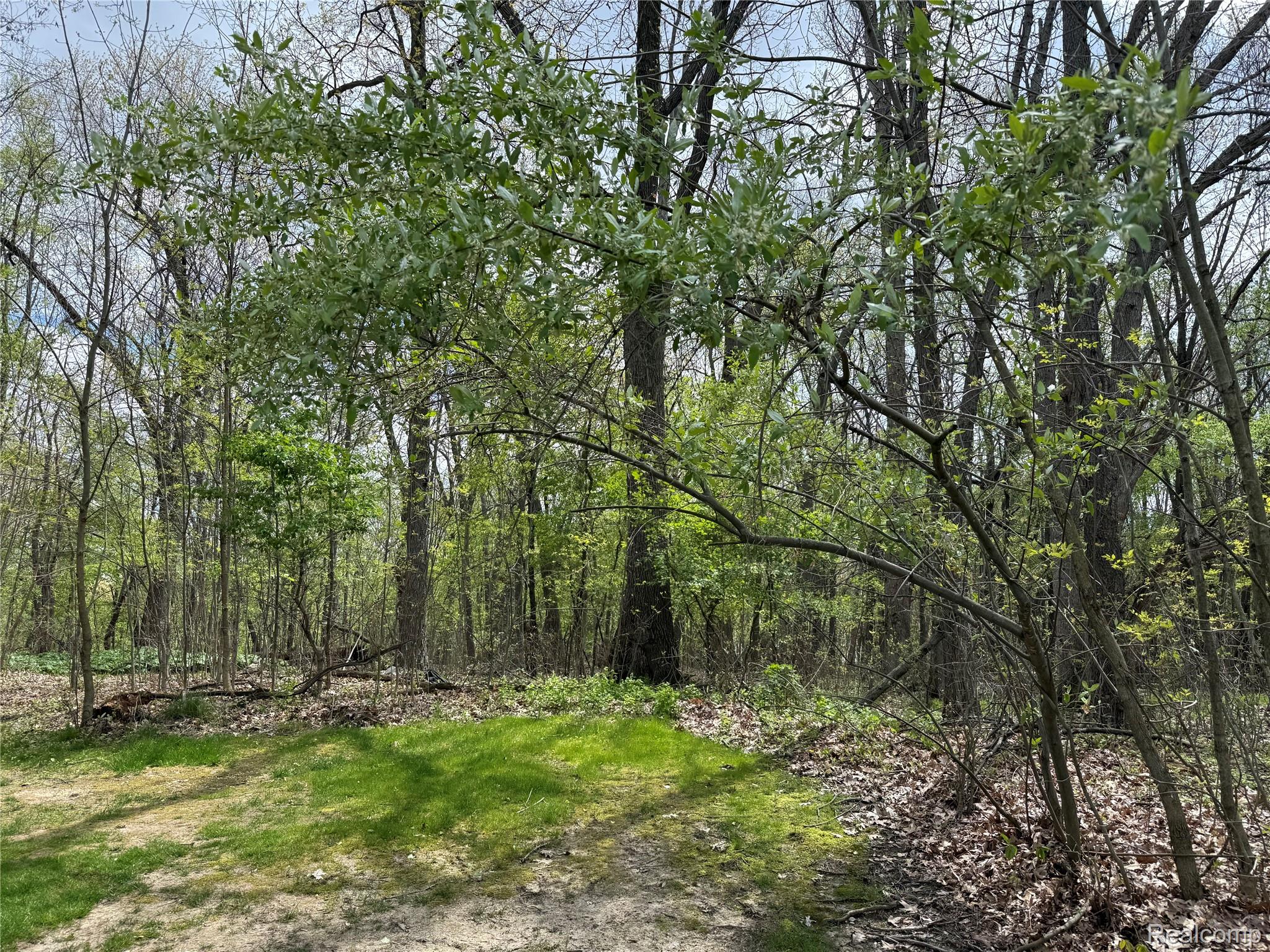 Lot 25 Hidden Ridge Trail