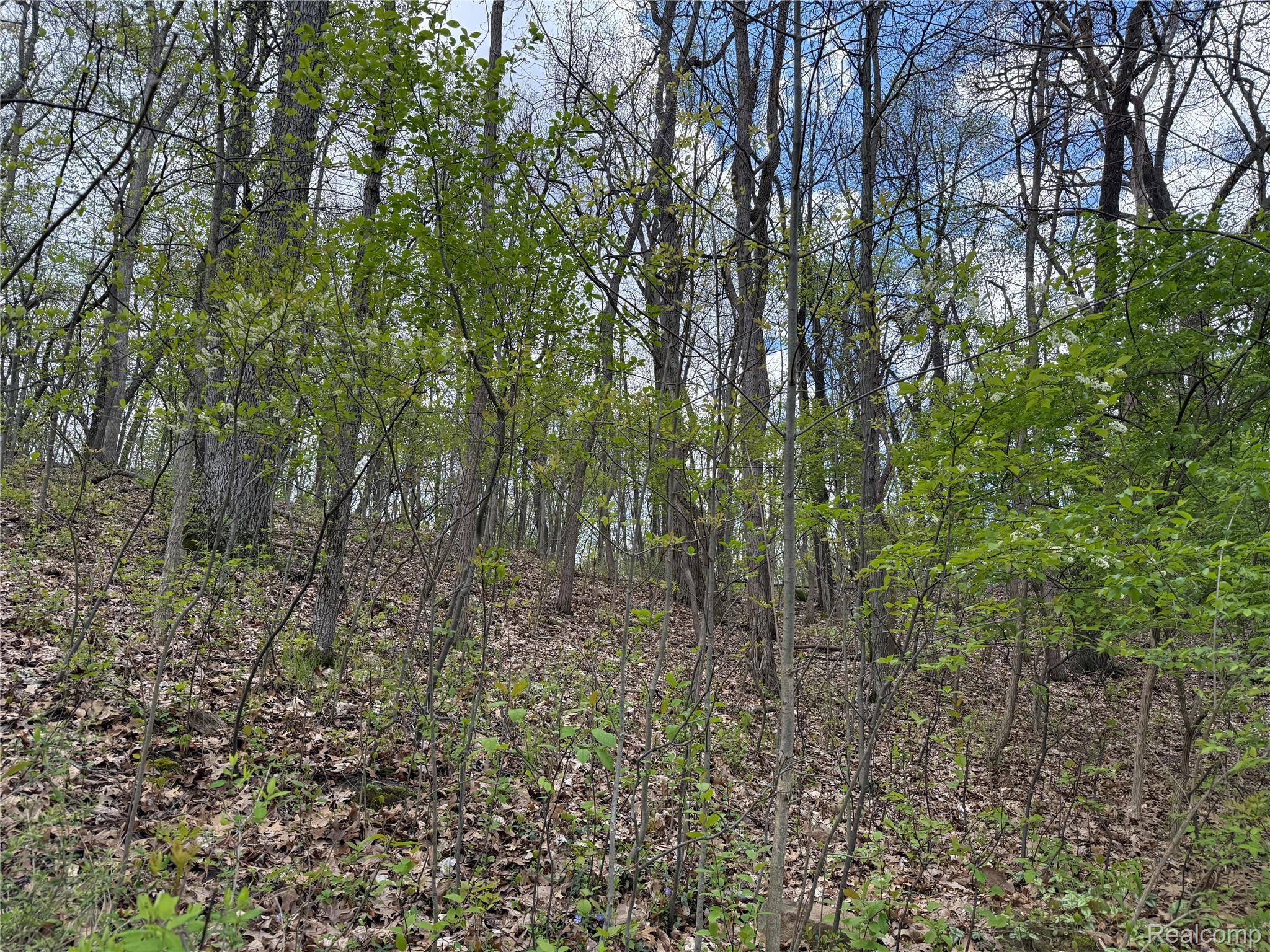 Lot 25 Hidden Ridge Trail