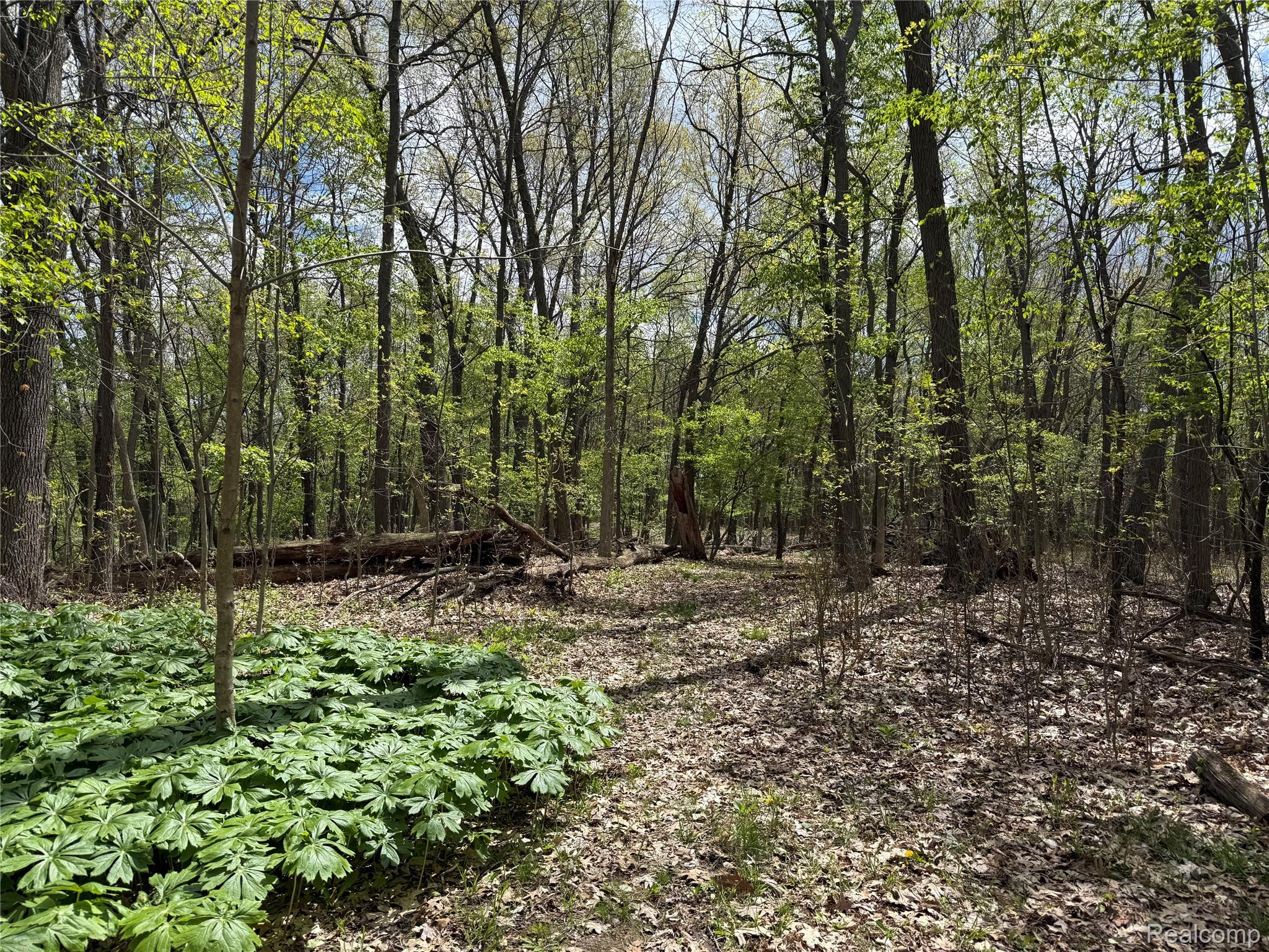 Lot 25 Hidden Ridge Trail