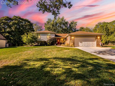 31257 Hillbrook Street Livonia City MI 48152