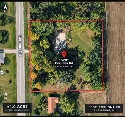 15201 CORUNNA RD, CHESANING, MI 48616 - Image 911b4d730cfbba844f4c8a61f542d0ee/3431337004
