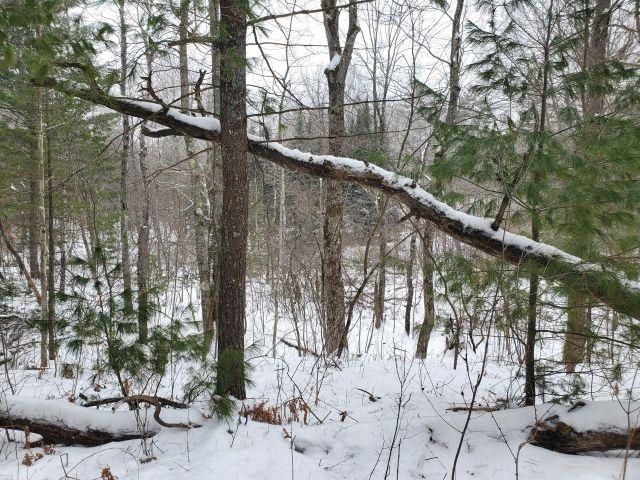 Silver Creek Road