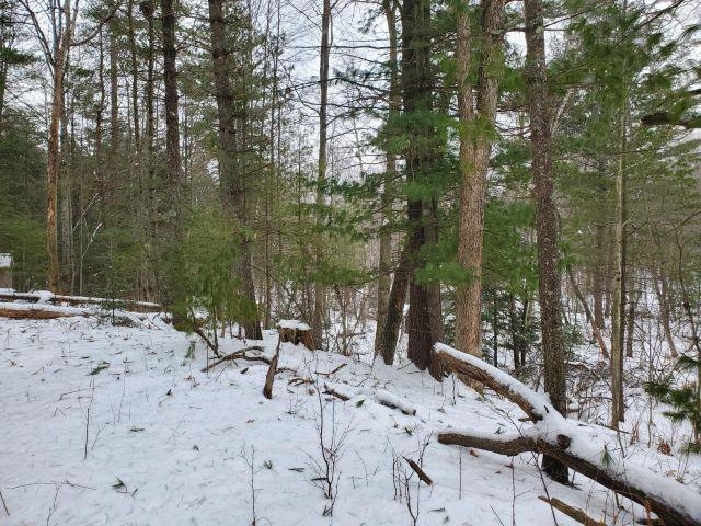 Silver Creek Road