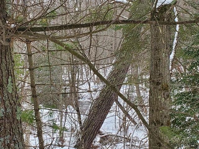 Silver Creek Road