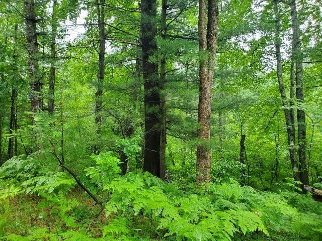 Silver Creek Road