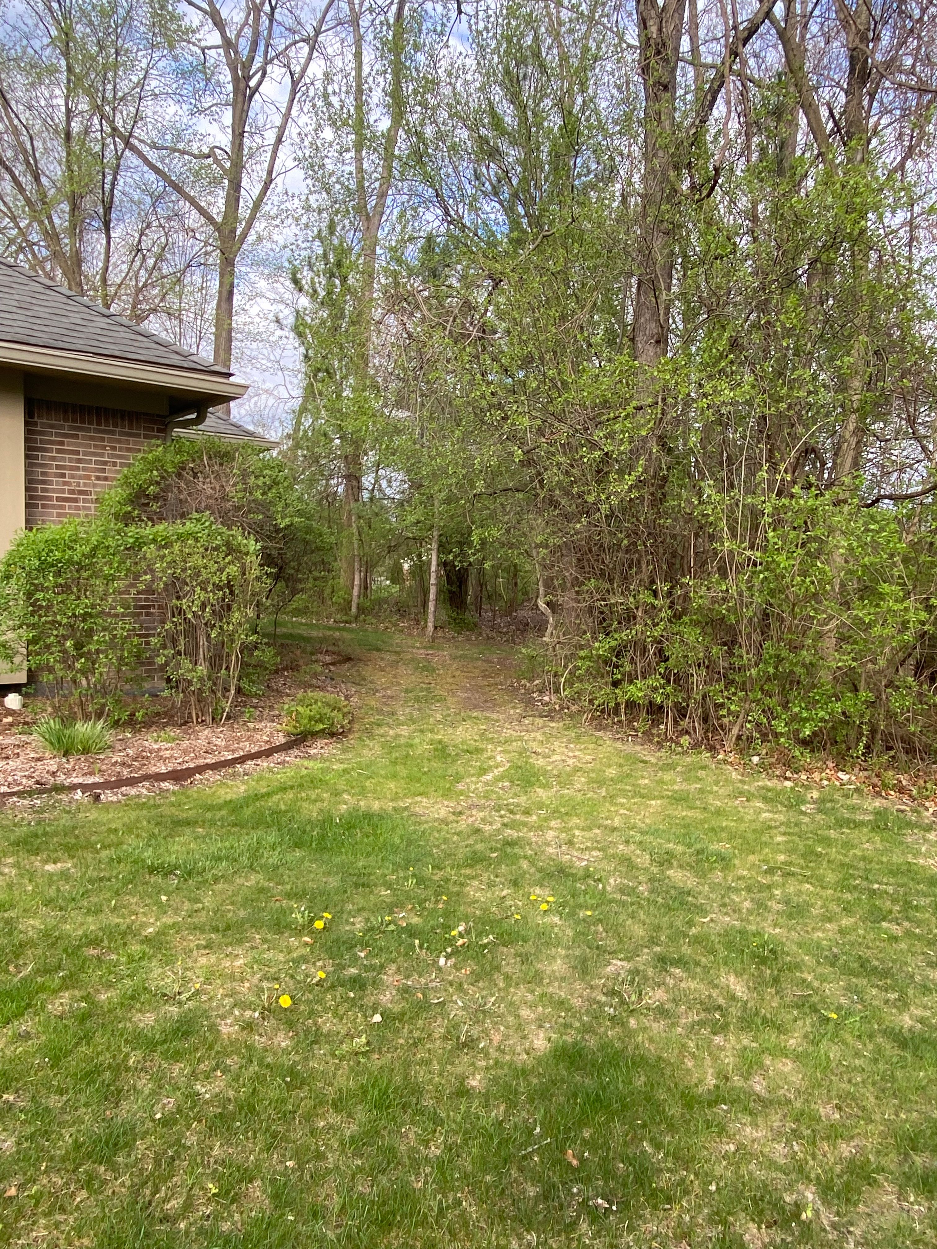 21268 SYCAMORE Court