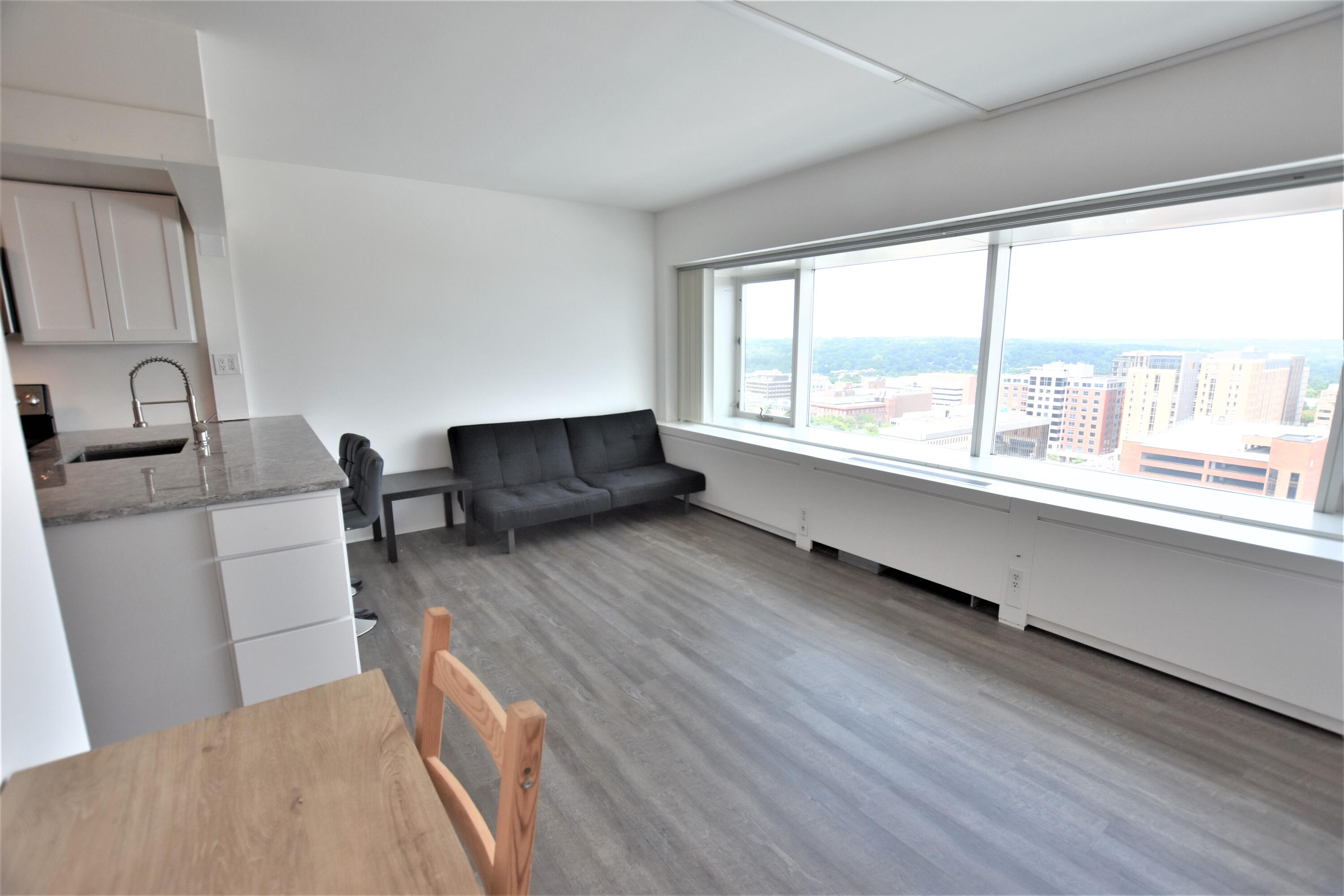 555 E William Street 17H