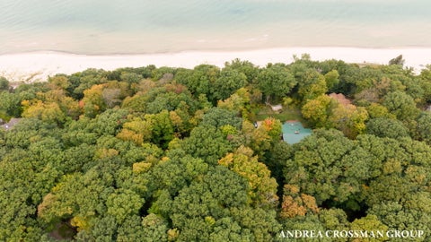 Tiny photo for 45556 Blue Star Highway, Covert Township, MI 49038 (MLS # 71026054491)