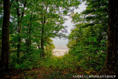 Tiny photo for 45556 Blue Star Highway, Covert Township, MI 49038 (MLS # 71026054491)