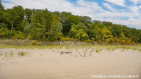 Tiny photo for 45556 Blue Star Highway, Covert Township, MI 49038 (MLS # 71026054491)