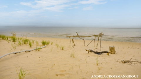 Tiny photo for 45556 Blue Star Highway, Covert Township, MI 49038 (MLS # 71026054491)