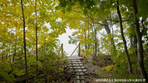 Tiny photo for 45556 Blue Star Highway, Covert Township, MI 49038 (MLS # 71026054491)