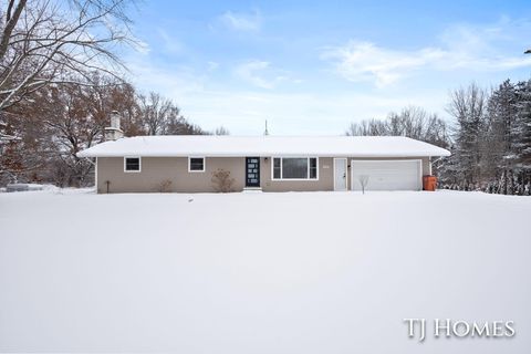 9188 Whittall Street NE Courtland Township MI 49341