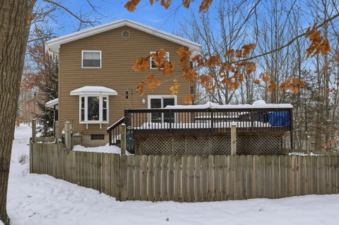 9913 Sante Fe Trail Austin Township MI 49346