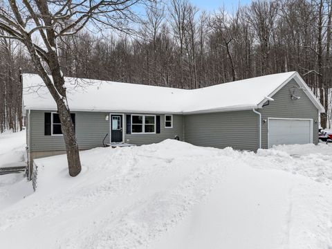 6081 Riley Ridge Lane Colfax Township MI 49683