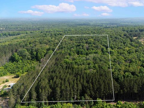 VL W Phelps Road Bloomfield Township MI 49663